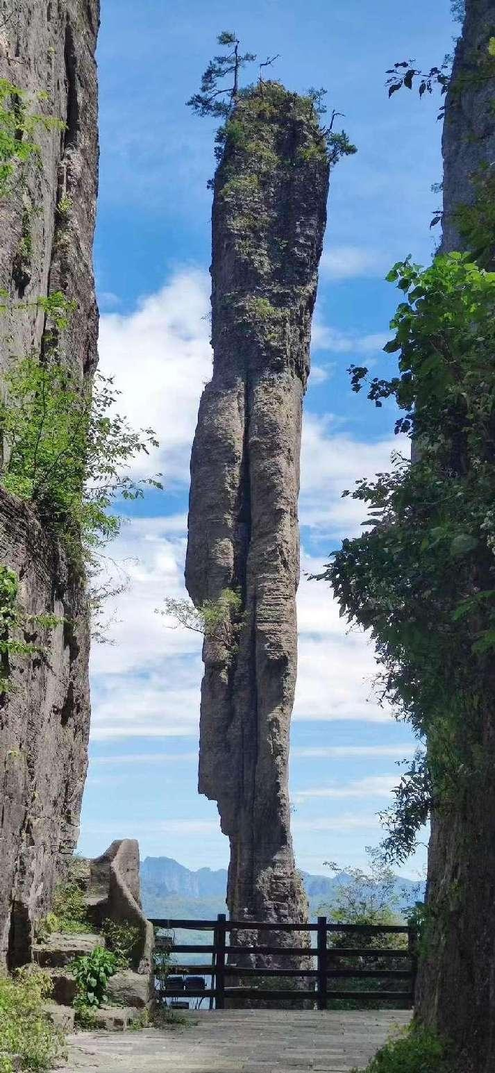 1722836219236781.png 圖片5.png