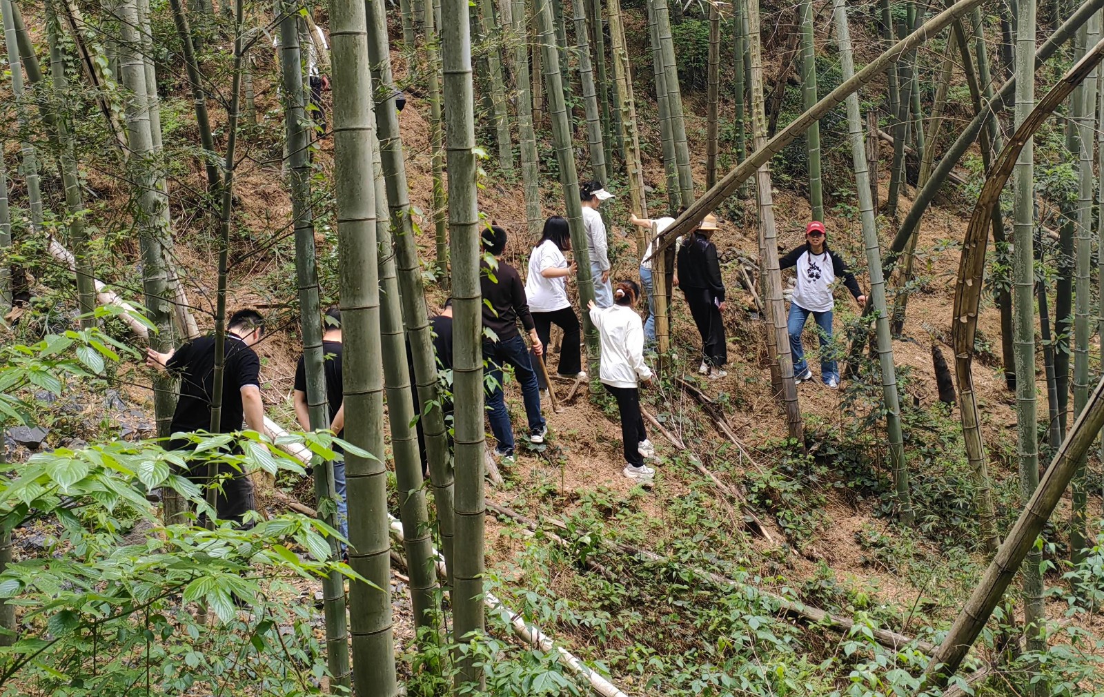 1745723587274329.jpg 8be568e1842bdbacaa7e25621c0533a.jpg