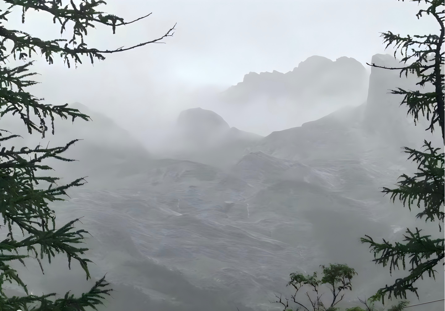 1755054517714227.png 1755054517714227.png